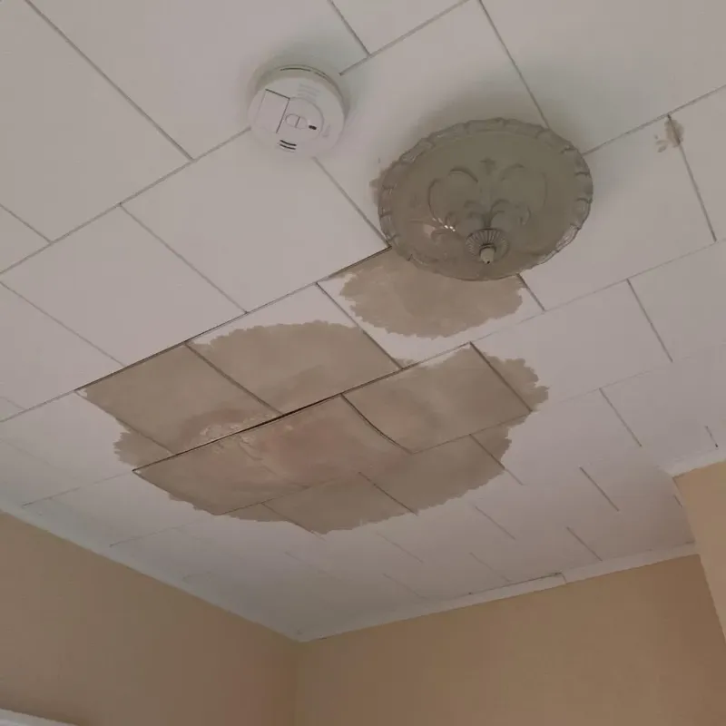 Ceiling Water Damage Repair in Becker, MN