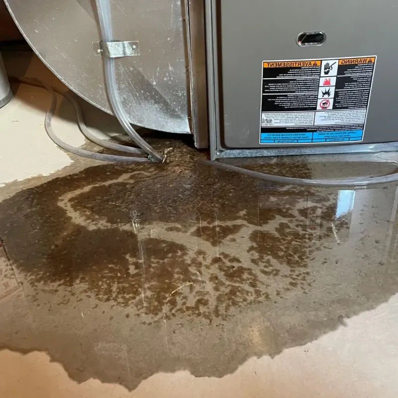 Pipe Burst and Leak Restoration in Becker, MN