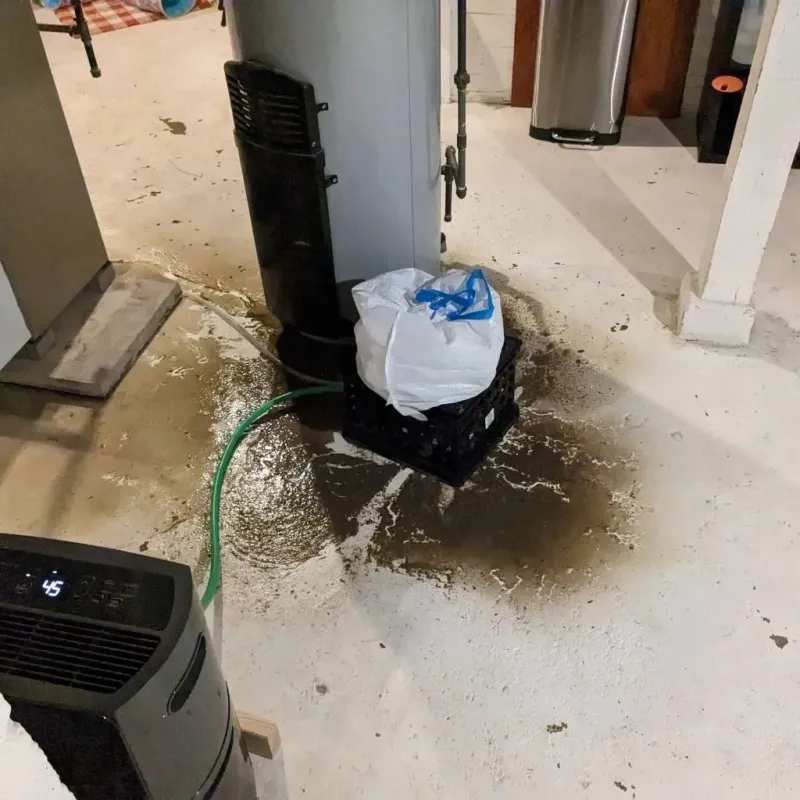 Sewage Backup Cleanup Service in Becker, MN
